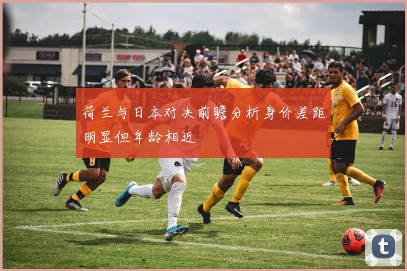 荷兰与日本对决前瞻分析身价差距明显但年龄相近